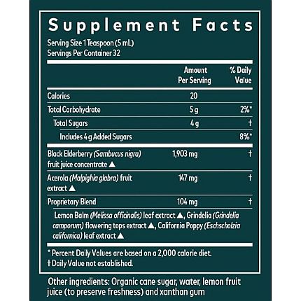 Gaia Herbs - Black Elderberry NightTime Syrup - 5.4 oz