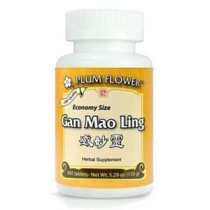 Plum Flower – Gan Mao Ling