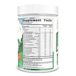 Nordic Naturals - Nordic Berries Multivitamin Gummies - 200 gummies