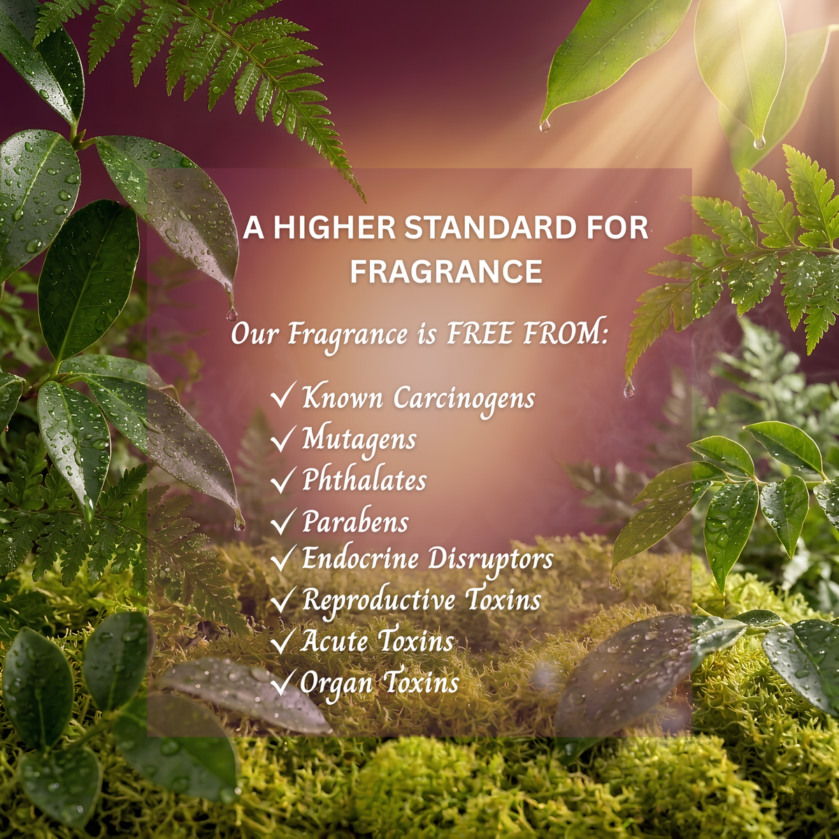 AURA earth - Dewy Aura Holistic Perfume - 1 oz