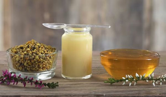 Propolis Benefits: Sinus Relief, Immune Defense & Gut Health