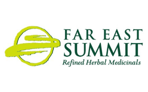 Far East Summit