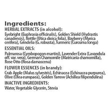 Amrita Aromatherapy - Allergy Relief Tri-Essence Blend - 30 ml