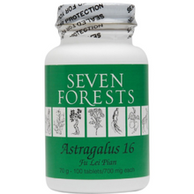 Seven Forests - Astragalus 16