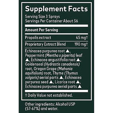 Gaia Herbs - Echinacea Goldenseal Propolis Throat Spray - 1 oz