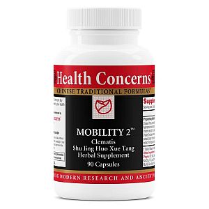 Health Concerns Mobility 2