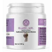 Mycology Research Labs - Blazei MRL 500 mg