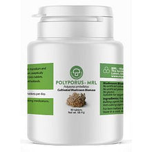 Mycology Research Labs Polyporus MRL 500 mg