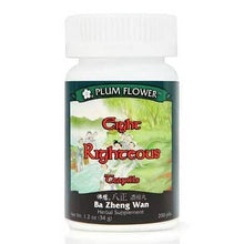 Plum Flower Eight Righteous (Ba Zheng Wan) 200 teapills