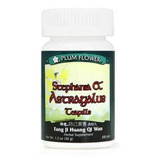 Plum Flower Stephania & Astragalus (Fang Ji Huang Qi Wan) 200 teapills