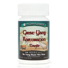 Plum Flower Great Yang Restoration (Bu Yang Huan Wu Wan) 200 teapills