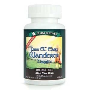 Plum Flower – Free & Easy Wanderer (Xiao Yao Wan)