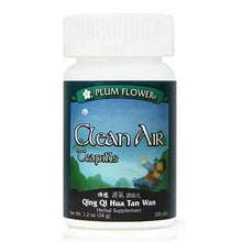 Plum Flower Clean Air (Qing Qi Hua Tan Wan) 200 teapills