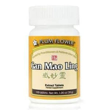 Plum Flower – Gan Mao Ling