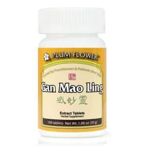 Plum Flower – Gan Mao Ling