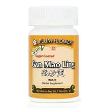 Plum Flower – Gan Mao Ling