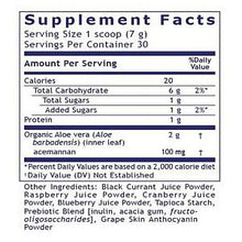Premier Research Labs - Aloe Powder - 7.4 oz