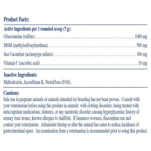 Rx Vitamins Pets – Mega Flex - 600 grams