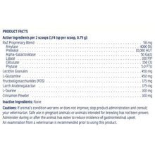 Rx Vitamins Pets – Rx Zyme Powder - 120 grams