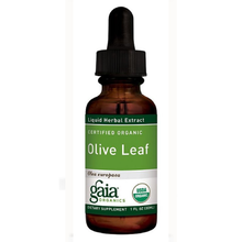 Gaia Herbs Olive Leaf Organic 1 oz