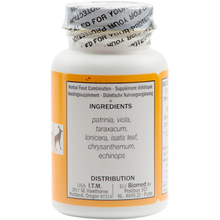 Seven Forests - Patrinia 7 - 100 tabs