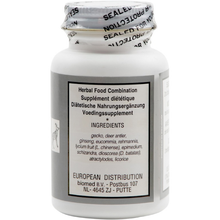 Seven Forests - Pyrola 11 - 100 tabs