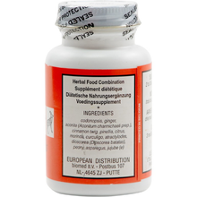 Seven Forests - Dry Ginger Tablets - 100 tabs