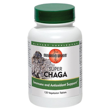Mushroom Wisdom Super Chaga 120 vtabs