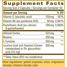 Nature's Way - Fatigued to Fantastic Adrenal Stress End - 60 caps