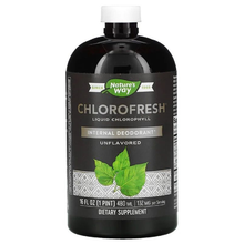 Nature's Way Chlorofresh Liquid Chlorophyll (unflavored) 16 oz