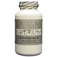 Seven Forests - Acanthopanax 10