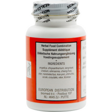 Seven Forests - Angelica 14