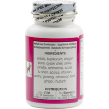 Seven Forests - Ardisia 16