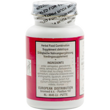 Seven Forests - Composition A