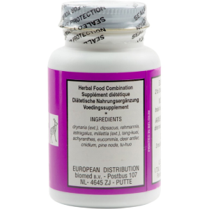 Seven Forests - Drynaria 12