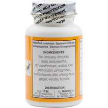 Seven Forests - Ilex 15