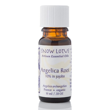 Snow Lotus Angelica Root (10% in jojoba) 10 ml