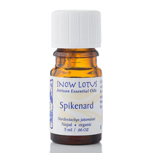 Snow Lotus Spikenard 5 ml
