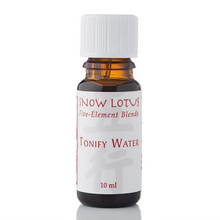 Snow Lotus Tonify Water 10 ml