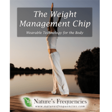 Nature's Frequencies Weight Management 24 chips