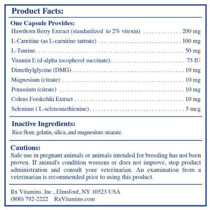 Rx Vitamins – Formula Cv - 90 caps
