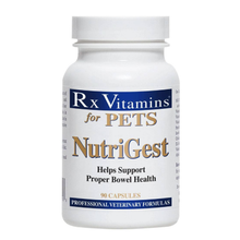 Rx Vitamins Nutri-Gest 120 grams