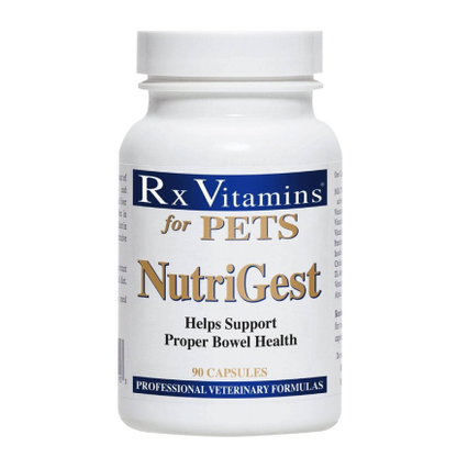 Rx Vitamins Nutri-Gest 120 grams
