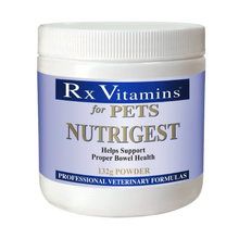 Rx Vitamins NutriGest 32 grams