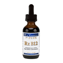 Rx Vitamins Rx B12 4 oz