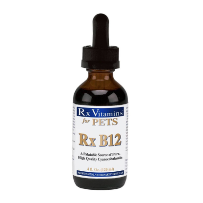 Rx Vitamins Rx B12 4 oz