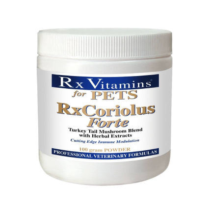 Rx Vitamins Rx Coriolus Forte 100 gram