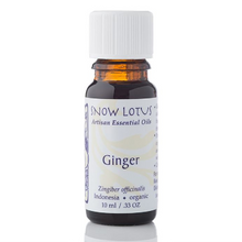 Snow Lotus Ginger 10 ml