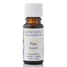 Snow Lotus Pine Scotch 10 ml