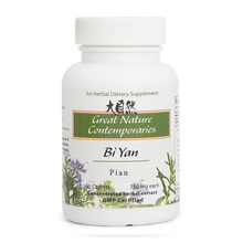 Great Nature by Blue Poppy Bi Yan Pian 90 caps